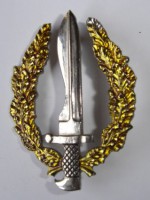 Distintibo Boina Gerrillero